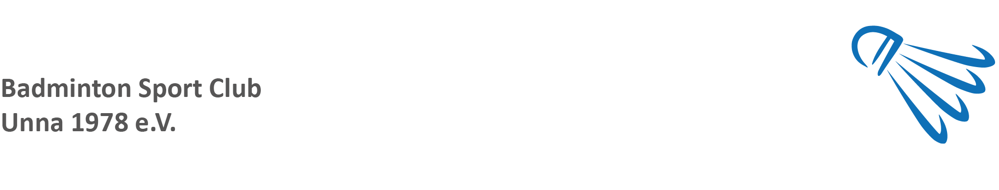 BSC Logo